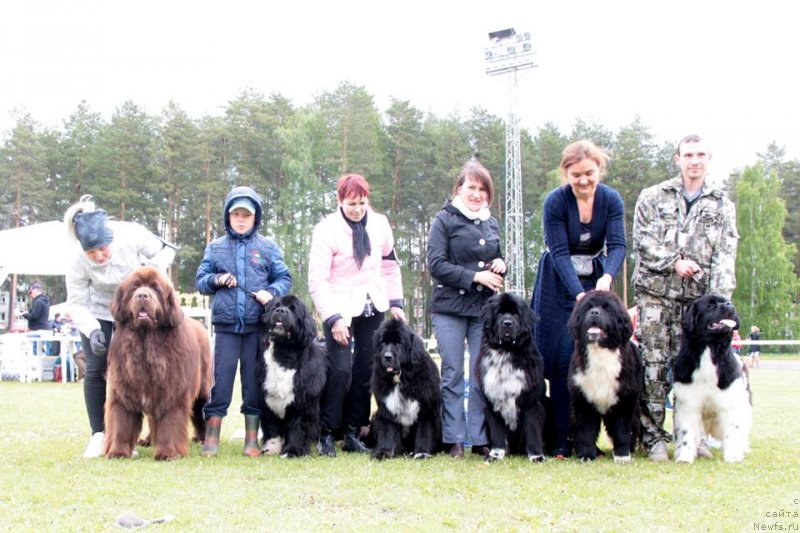 Фотография № 236628