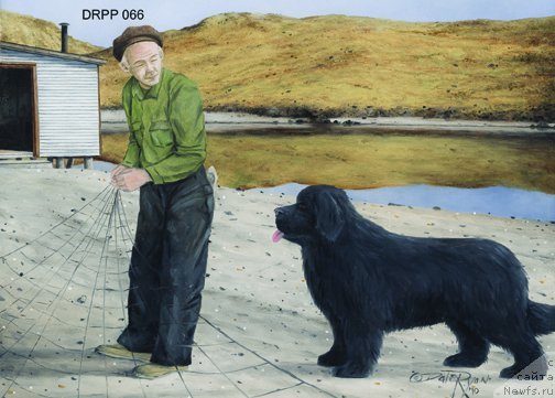 Фотография № 236634