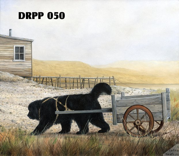 Фотография № 236636