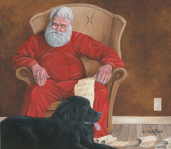 Фотография № 236640