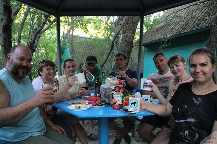 Фотография № 236651