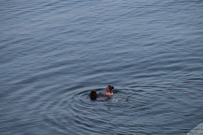 Фотография № 236652