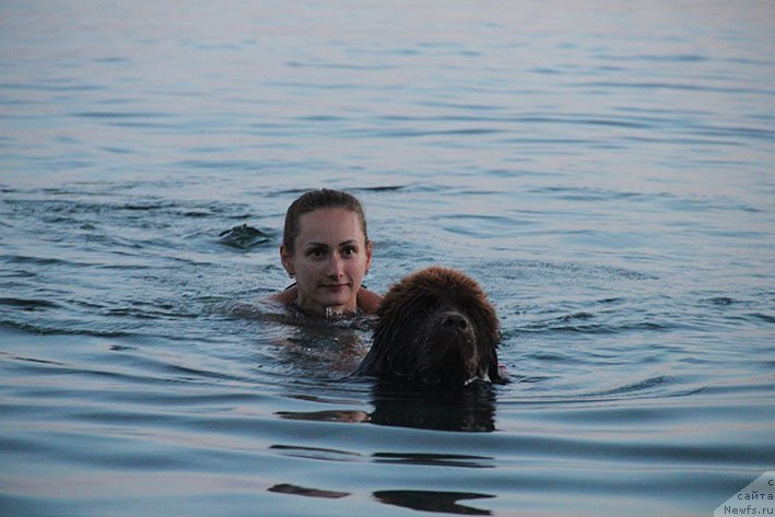 Фотография № 236653