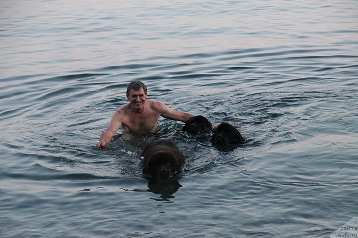 Фотография № 236654