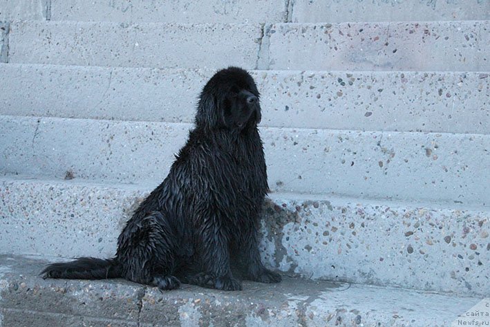 Фотография № 236655