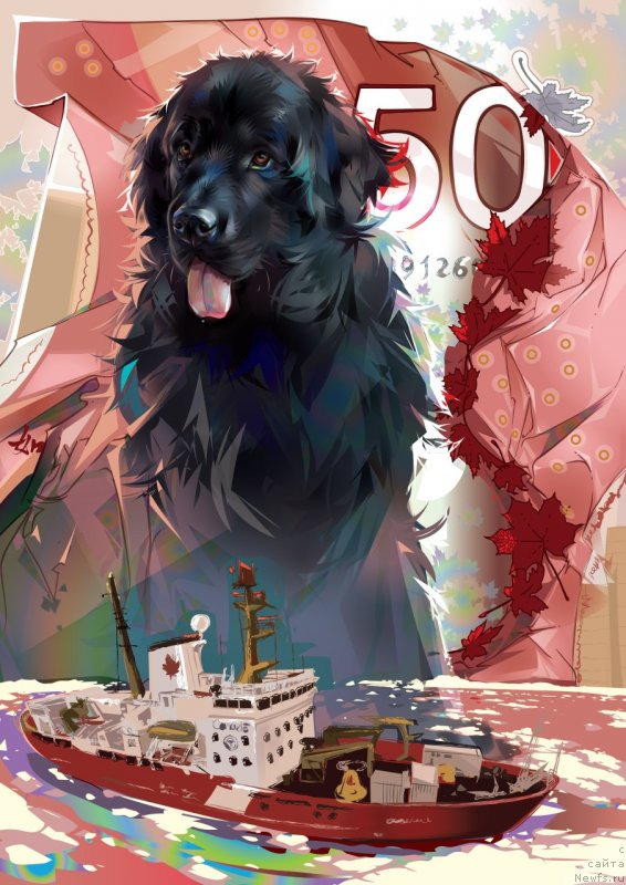 Фотография № 236657