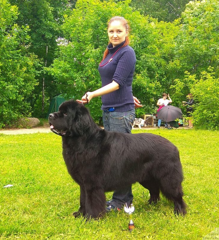 Фотография № 236658