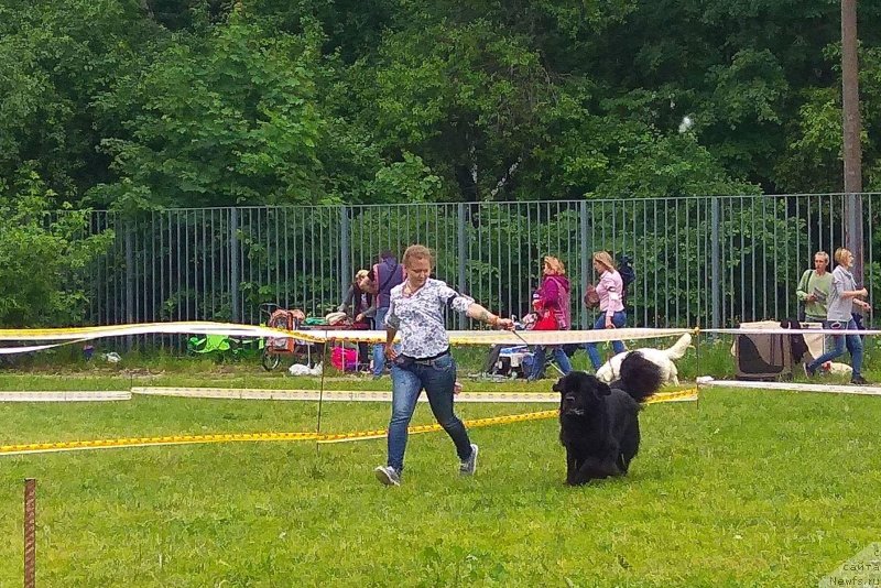 Фотография № 236659