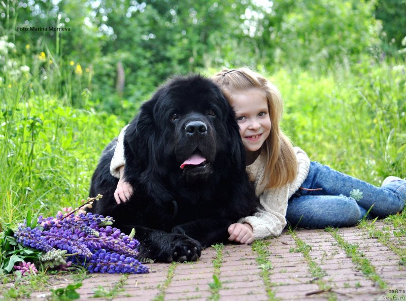 Фотография № 236661