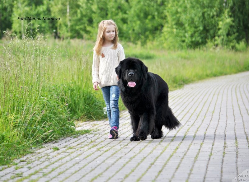 Фотография № 236662