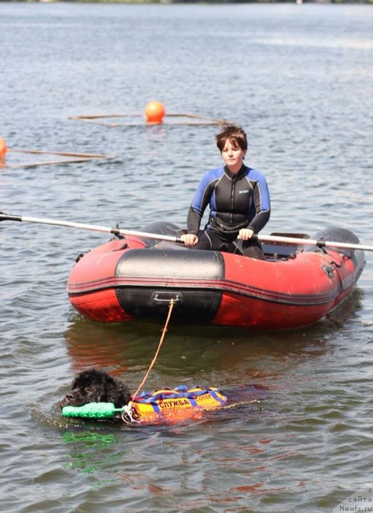 Фотография № 236663