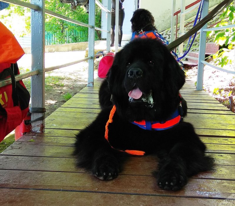 Фотография № 236664