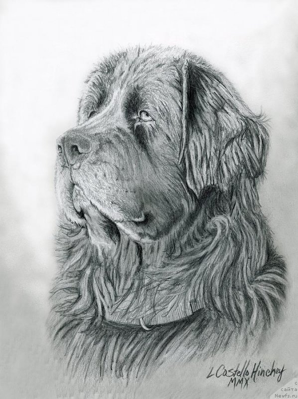 Фотография № 236667