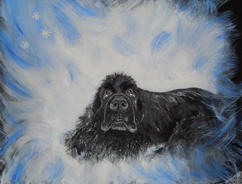 Фотография № 236676