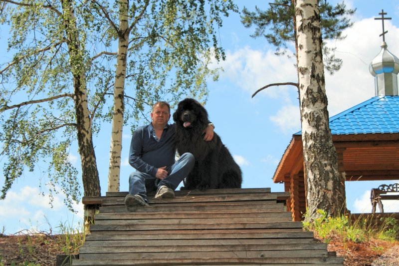 Фотография № 236681