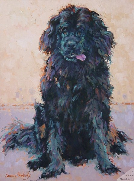 Фотография № 236686