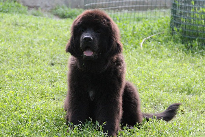 Фотография № 236692