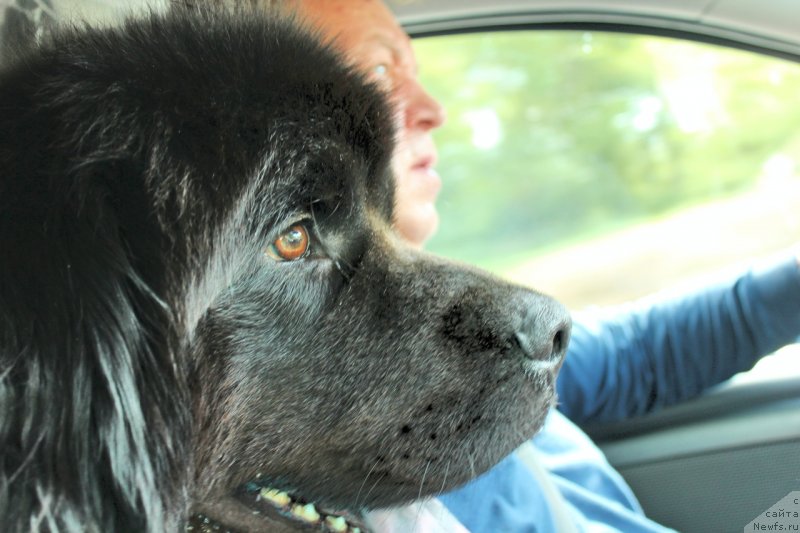 Фотография № 236698