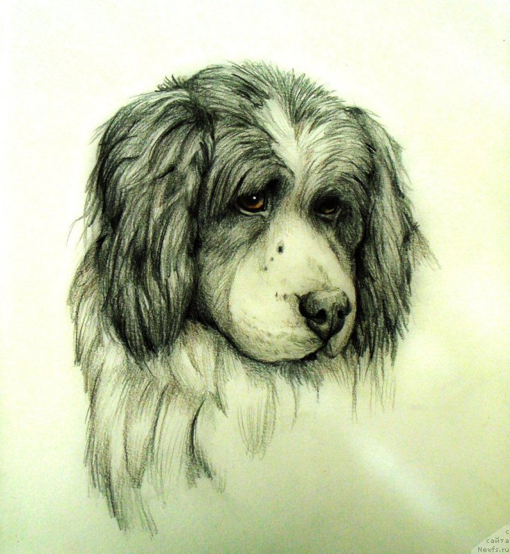 Фотография № 236728