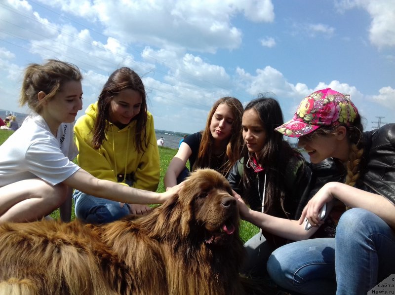 Фотография № 236735