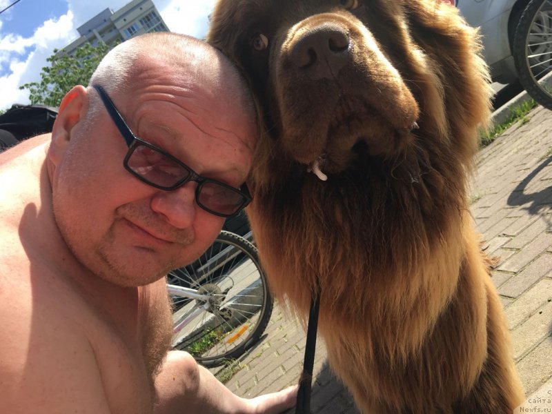 Фотография № 236737