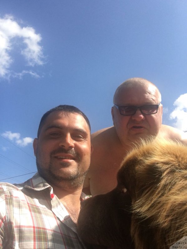 Фотография № 236738