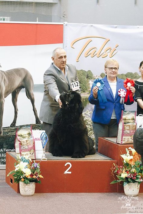 Фотография № 236745