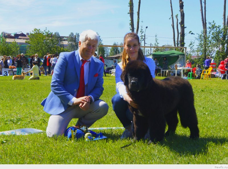 Фотография № 236759