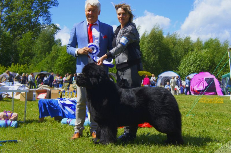 Фотография № 236761