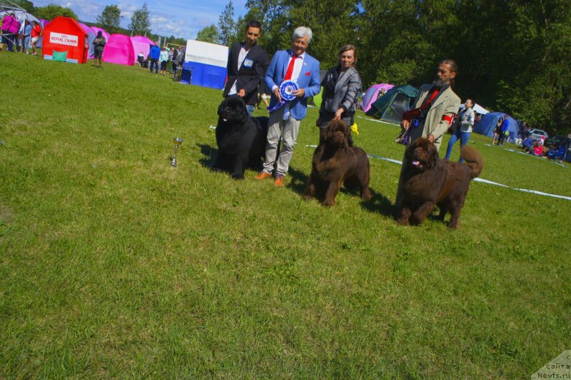 Фотография № 236762