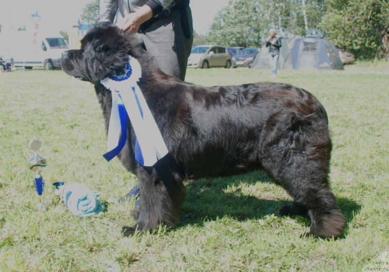 Фотография № 236773