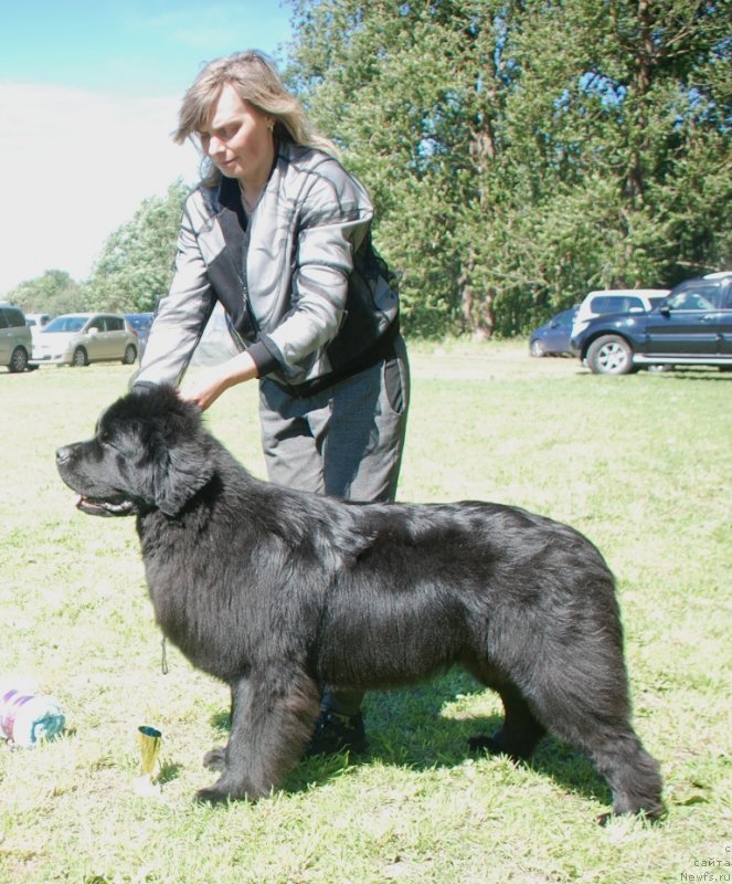 Фотография № 236778