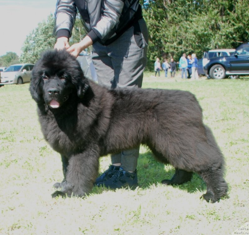 Фотография № 236782