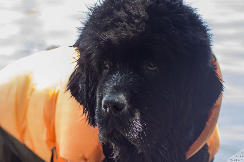 Фотография № 236788