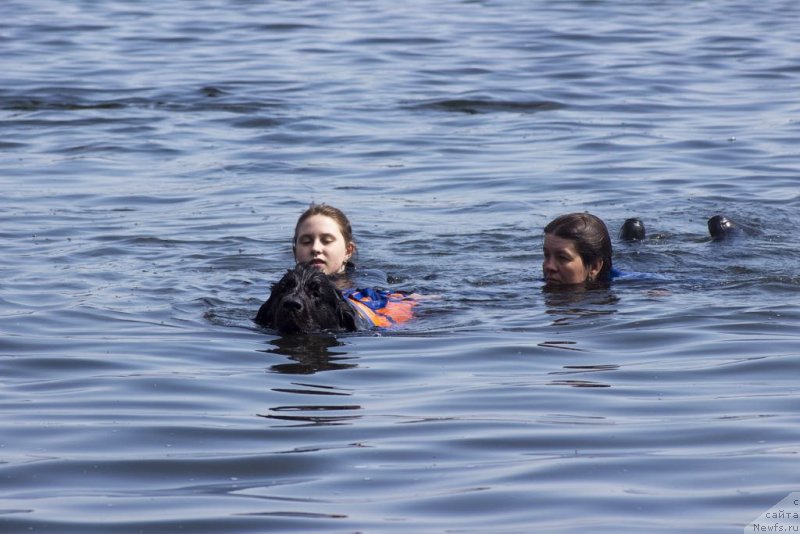 Фотография № 236791