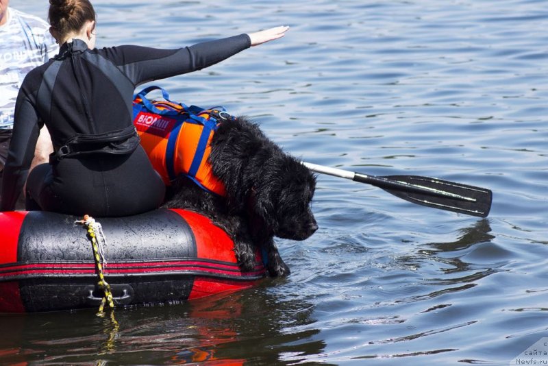 Фотография № 236794