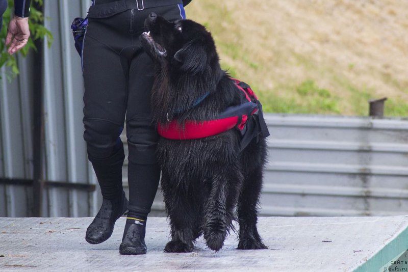 Фотография № 236796