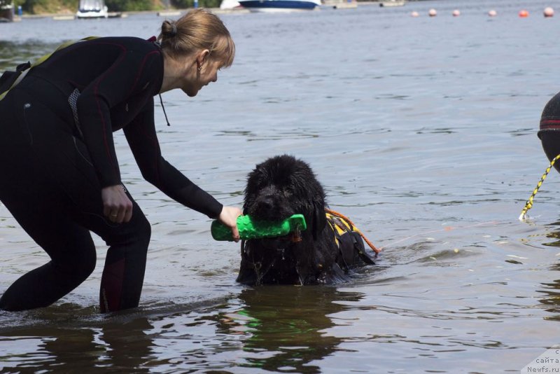 Фотография № 236798