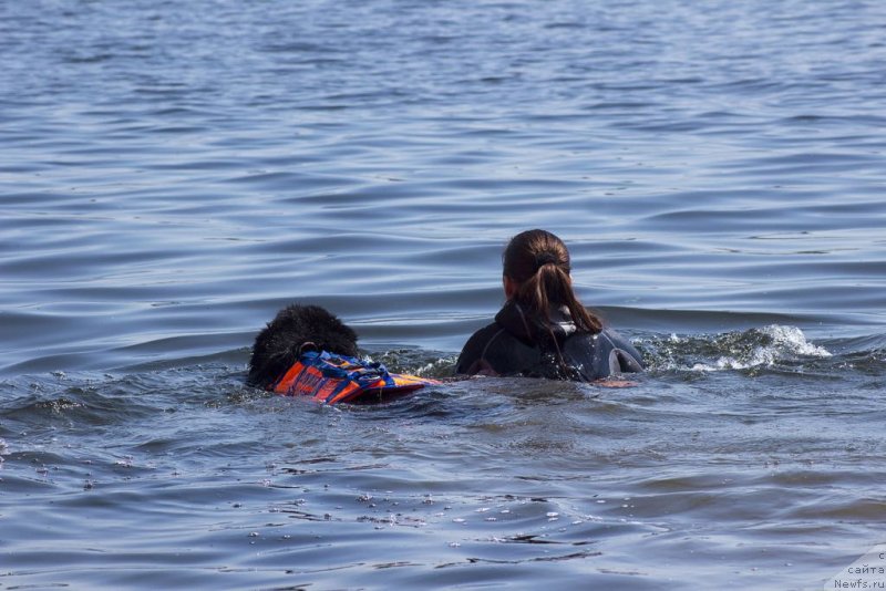 Фотография № 236800