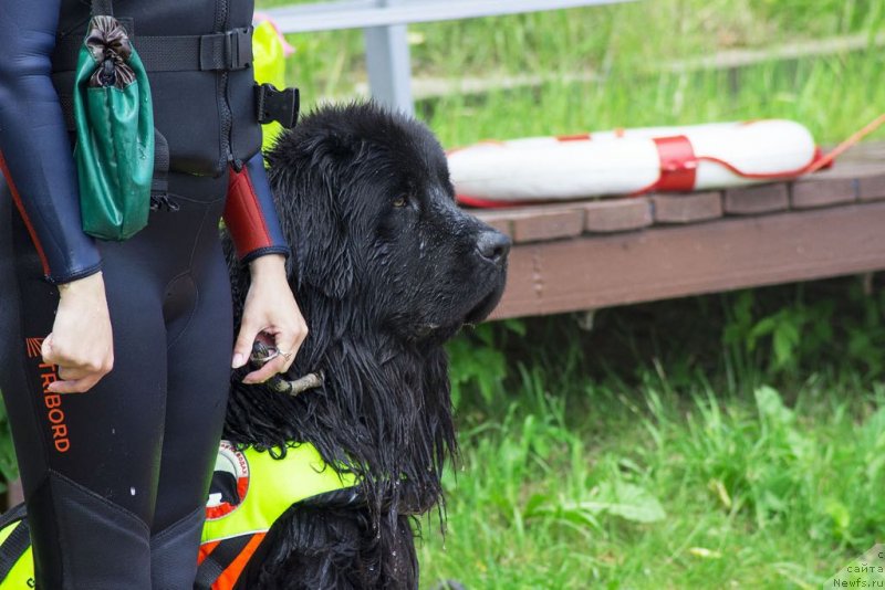 Фотография № 236802