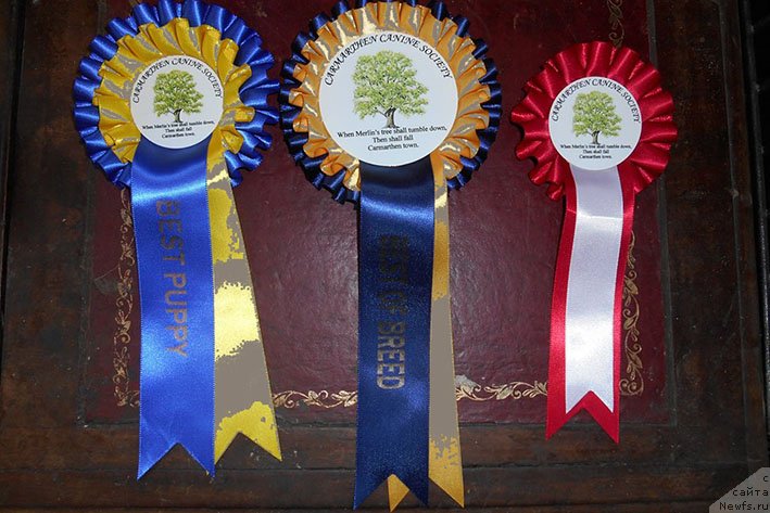 Фотография № 236806