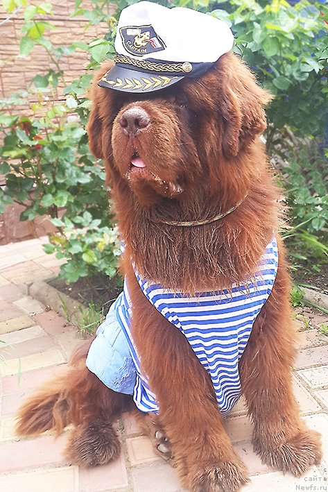 Фотография № 236807