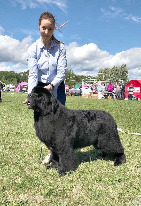 Фотография № 236822