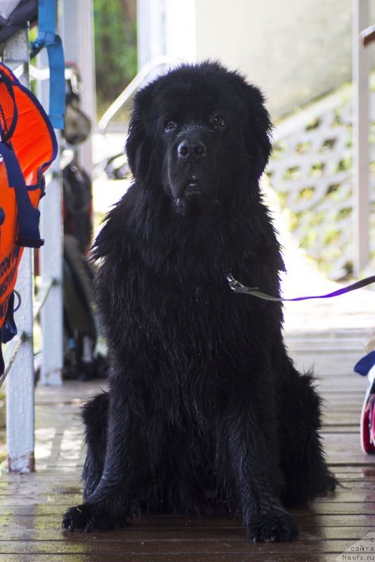 Фотография № 236832