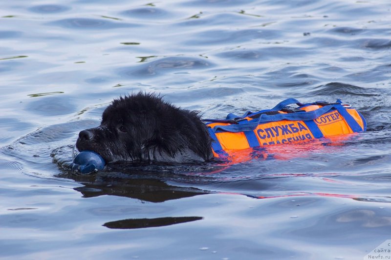 Фотография № 236833