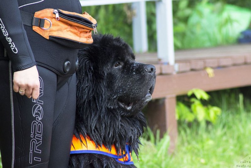 Фотография № 236834