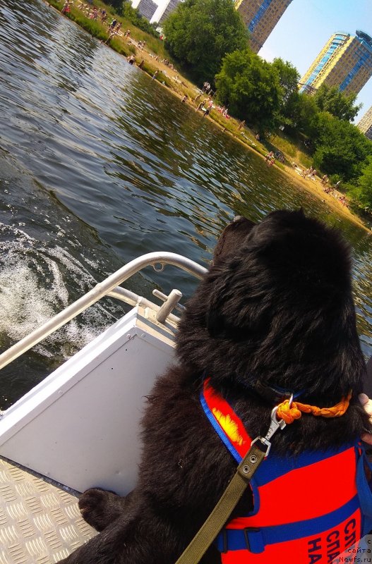 Фотография № 236835