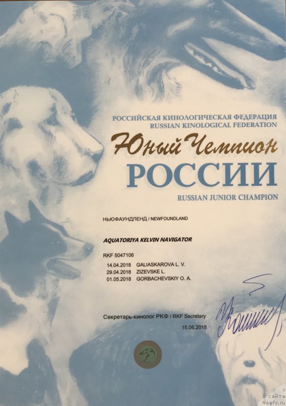 Фото: ньюфаундленд Акватория Келвин Навигатор (Aquatoriya Kelvin Navigator)