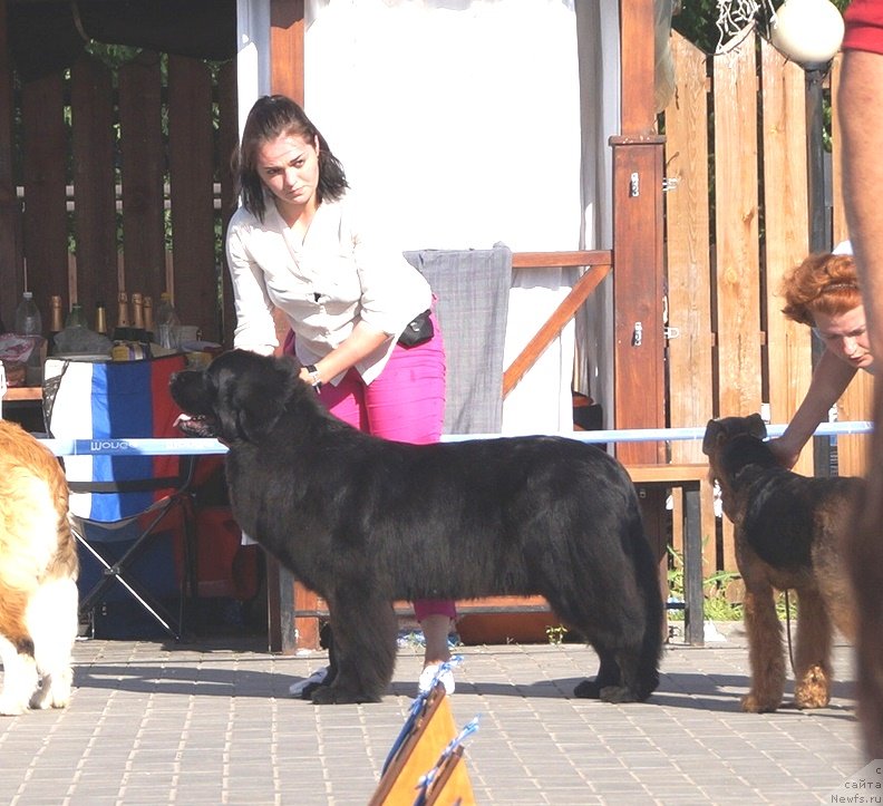 Фотография № 236848