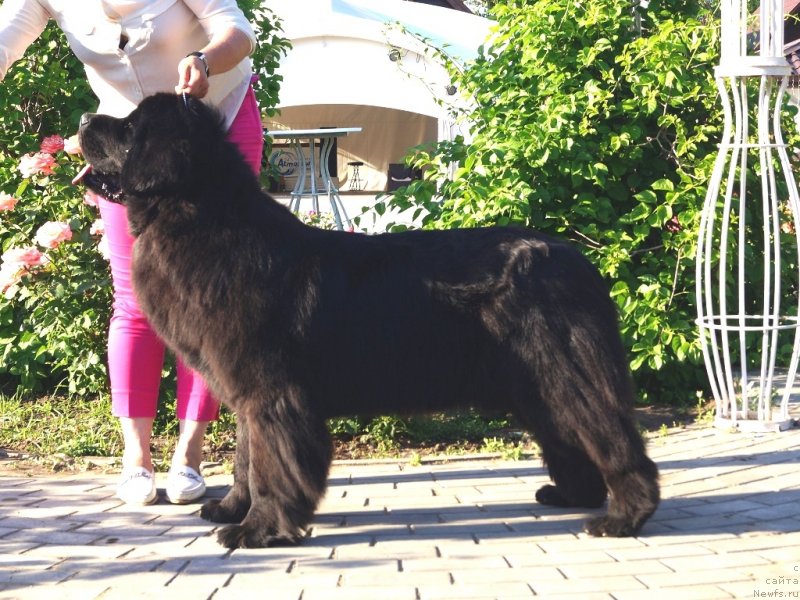 Фотография № 236849